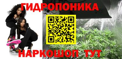 мяу мяу мука Кингисепп