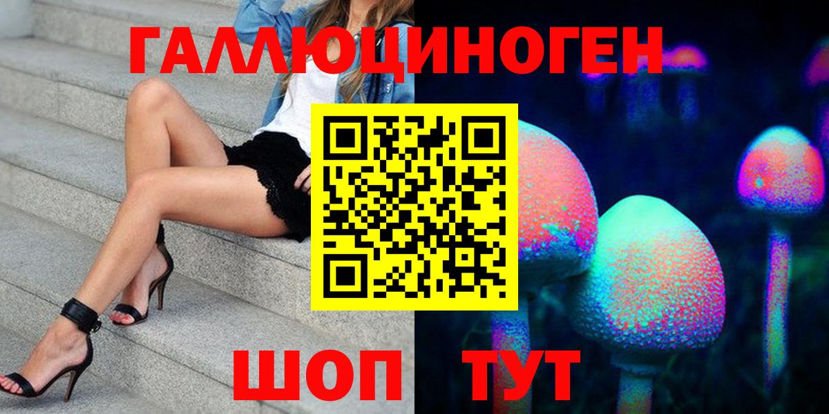 Красноармейск  Псилоцибиновые грибы Cubensis  Вход с VPN 